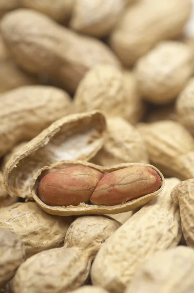 Noisette fissurée sur cacahuètes non pelées — Photo