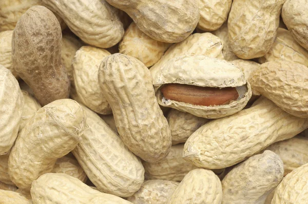 Ripe peanuts background — Stock Photo, Image