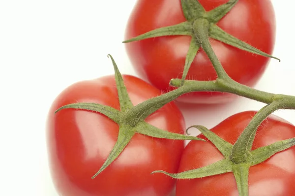 Fresh Red Tomatoes — Stock Photo, Image