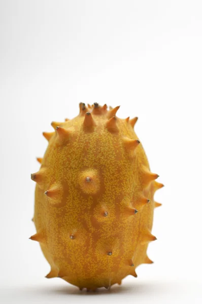 新鲜的角的瓜 — 图库照片