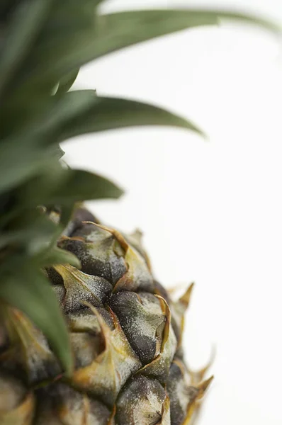 Ripe pineapple fruit — Stock Photo, Image