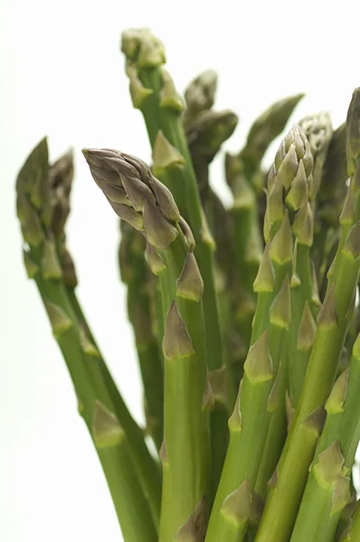 Geïsoleerde asperges plant — Stockfoto