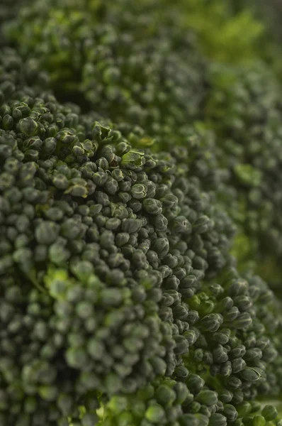 Detalj av broccoli — Stockfoto