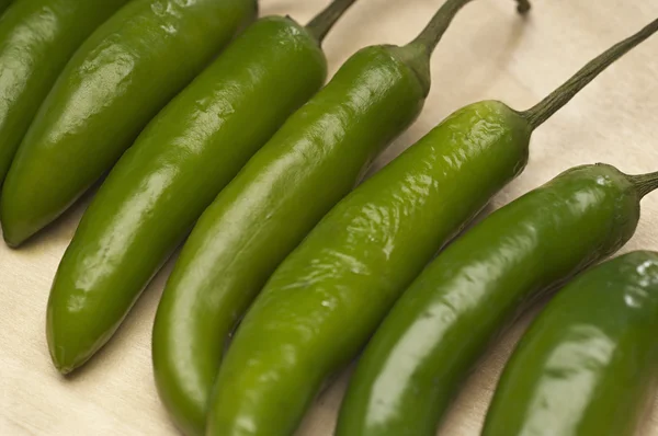 Grønn chili-paprika – stockfoto