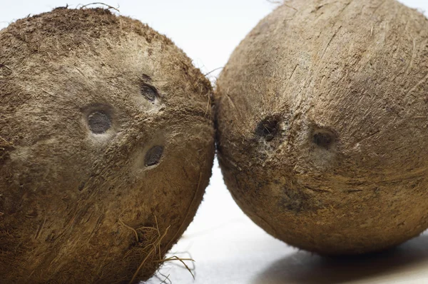 Twee kokosnoten — Stockfoto