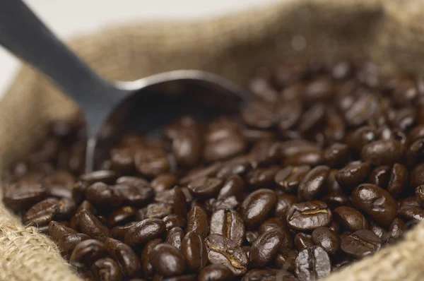 Coffee Beans Sack With Scoop — Stock Photo, Image