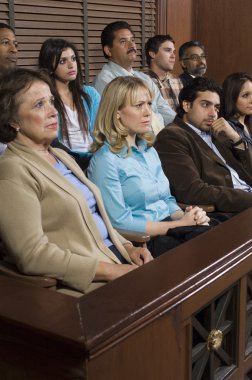Jurors In Courtroom clipart