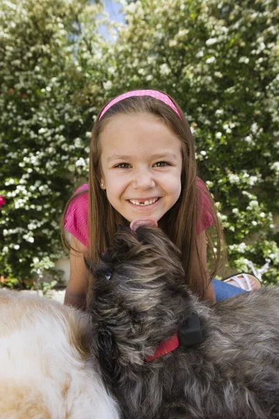 Cane leccare mento della bambina — Foto Stock