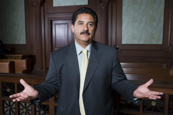 Lawyer Making A Point During Trial — Stock Photo, Image