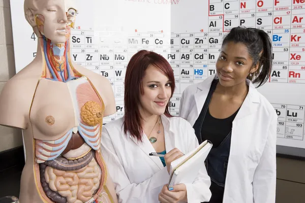 Students Studying Human Anatomy — Stock Photo, Image