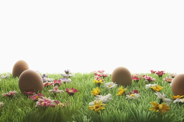 Huevos de Pascua en pradera artificial — Foto de Stock