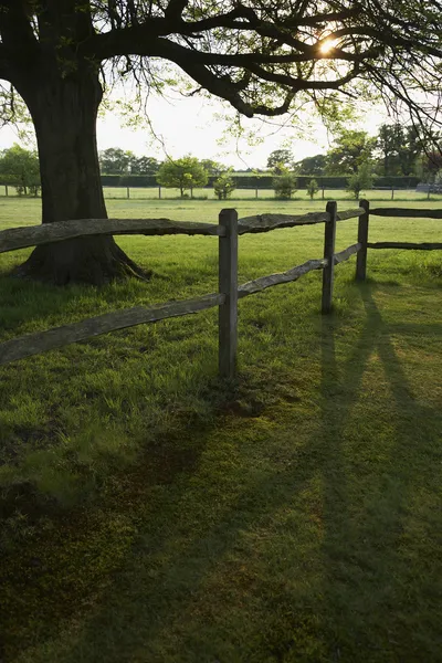 フェンスと緑のフィールド — ストック写真