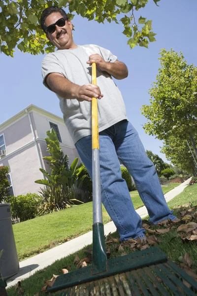 Man Raking Leaves In Lawn — Stock Photo, Image