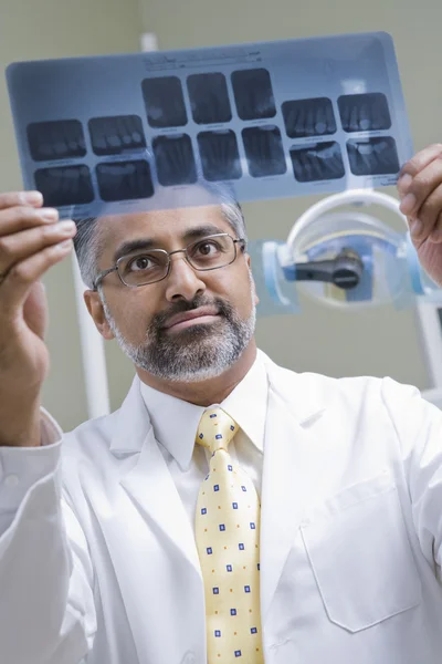 Male Asian dentist with x-ray report — Stock Photo, Image