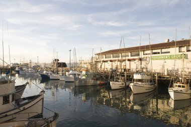 Kaliforniyalı harbor