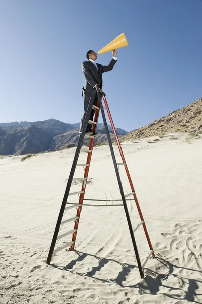 Zakenman op trapladder met behulp van megafoon in woestijn — Stockfoto