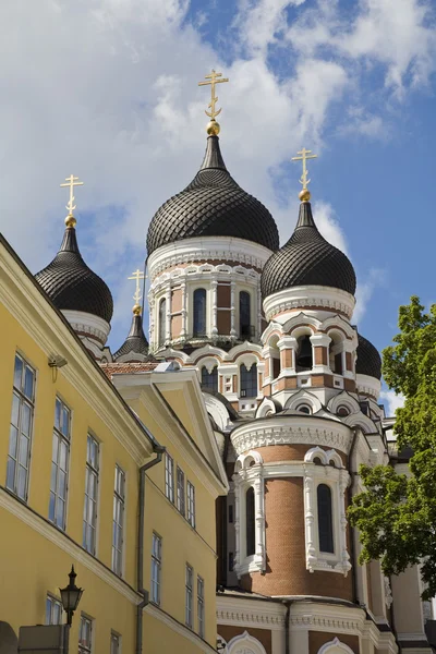 De kathedraal van Alexander Nevsky — Stockfoto