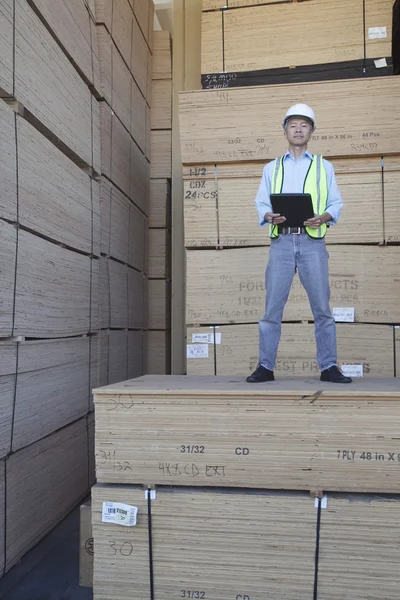 Retrato de un trabajador de pie sobre una pila de madera contrachapada —  Fotos de Stock