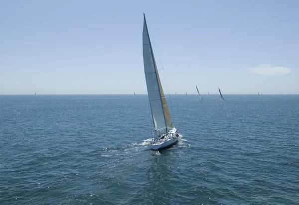 Sailboat racing on Ocean — Stock Photo, Image