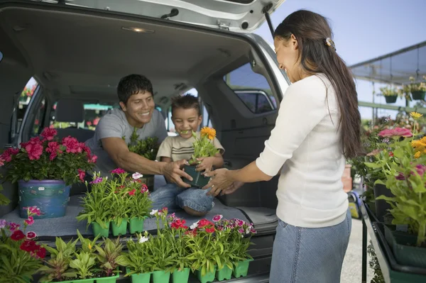 Familie laden planten in minibus — Stockfoto