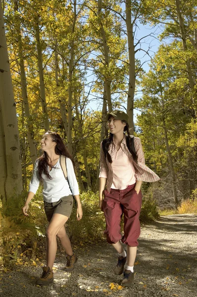 Friends on a Forest Hike — Stock Photo, Image