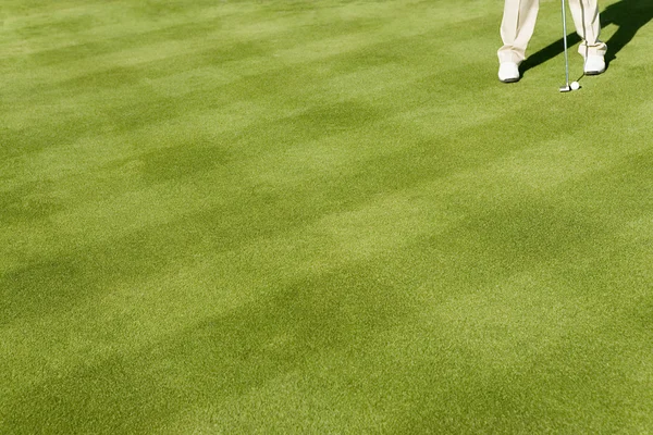 Golfer putting on putting green — Stock Photo, Image