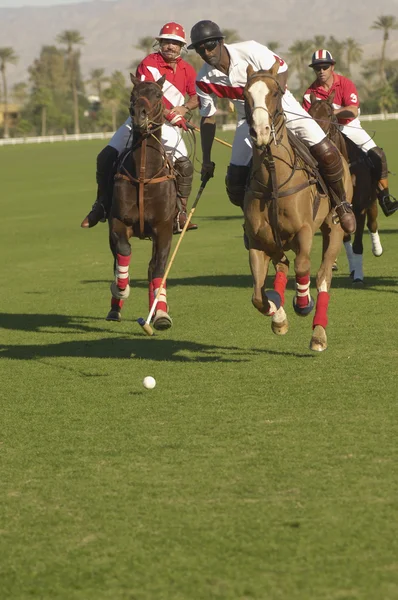 Players playing polo — Stock Photo, Image