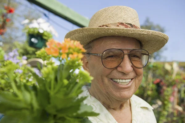 Uomo anziano in vivaio vegetale — Foto Stock