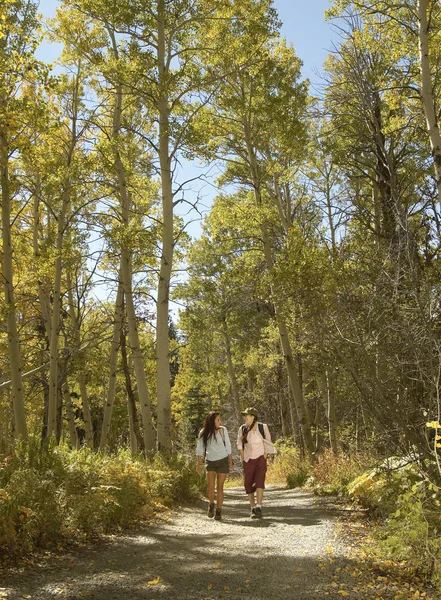 Amici in escursione nella foresta — Foto Stock