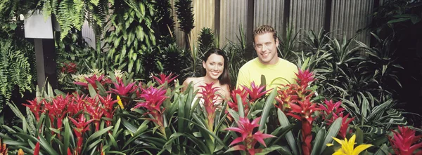 Couple in plant nursery — Stock Photo, Image