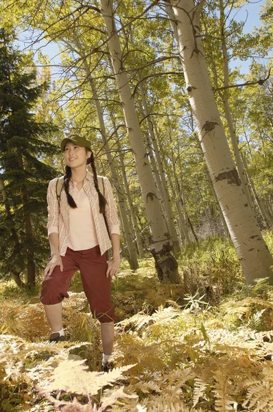 Escursionista femminile nella foresta — Foto Stock