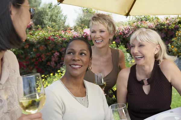 Donne che chattano con bicchieri di vino — Foto Stock