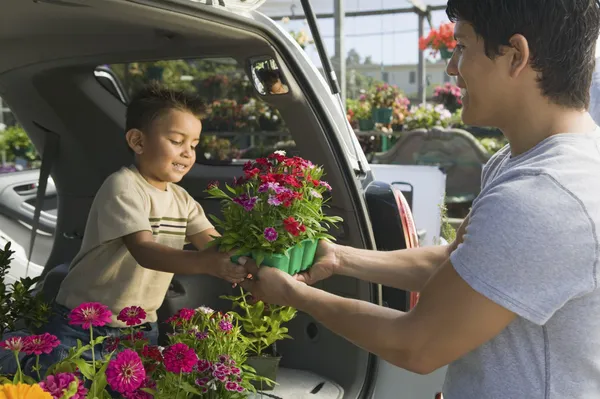 Father and Son Loading Plants — Stock Photo, Image