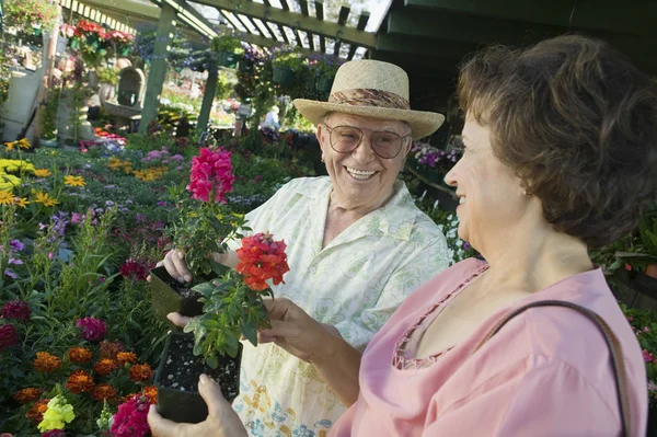 Äldre par shopping för blommor — Stockfoto