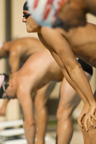 Swimmers Lined Up at Starting Blocks — Stock Photo, Image