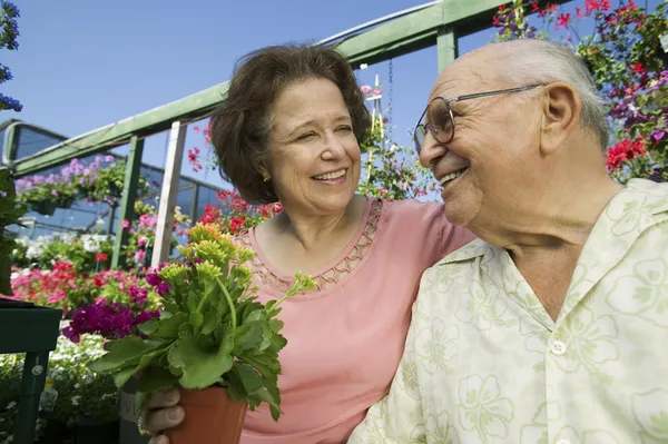 Senior Couple sitting among flowers — Stock Photo, Image