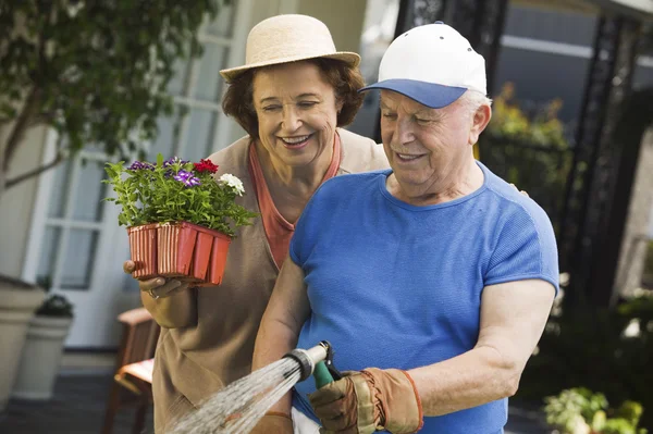 Senior coppia giardinaggio — Foto Stock