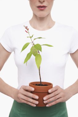 Elinde saksı saksısı tutan kadın
