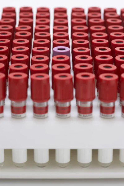 Kırmızı Test tüpleri — Stok fotoğraf