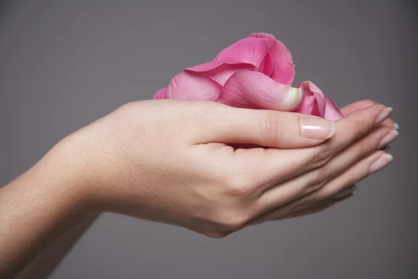 Woman cupping hands full of rose petals — Stock Photo, Image