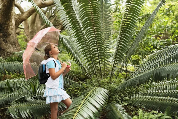 Menina olhando grande samambaia — Fotografia de Stock