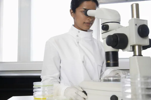 Travailleur de laboratoire féminin ajustant le microscope — Photo