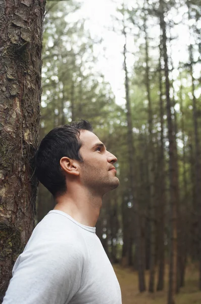 Mann lehnt sich im Wald an Baum — Stockfoto