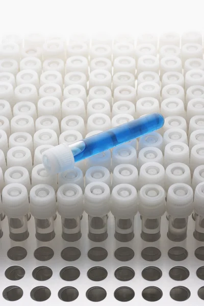 Tubo de ensayo azul acostado sobre tubos de ensayo vacíos — Foto de Stock