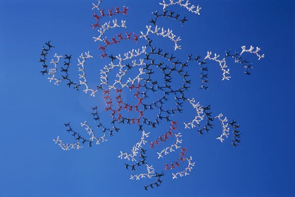 Skydivers oluşumu — Stok fotoğraf