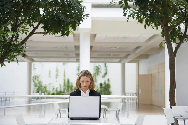 Donna d'affari che lavora sul computer portatile — Foto Stock