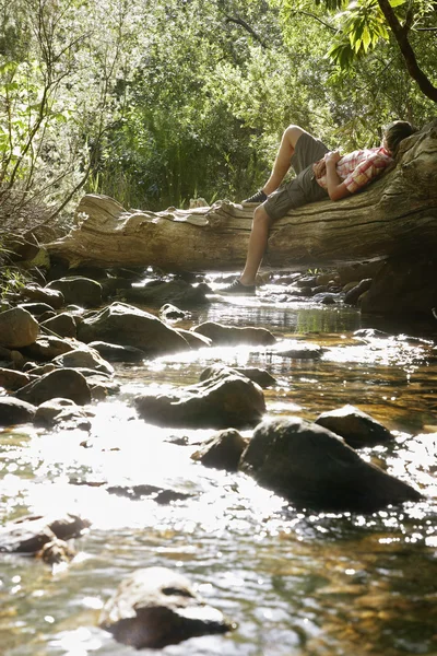 Man Laying on Log — Stock Photo, Image