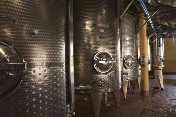 Winemaker with Wine Vats — Stock Photo, Image