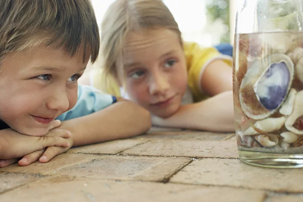 Ragazzo e ragazza guardando conchiglie — Foto Stock