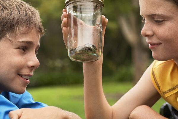 Boys Looking at Snake